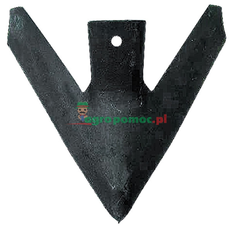 Redlica skrzydełkowa | zdjęcie nr 1