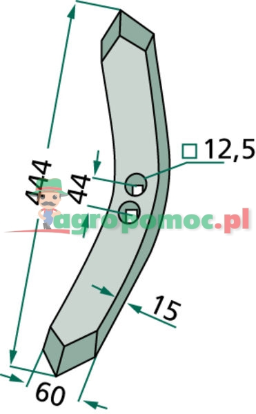 Redlica wąska | 63310403, GG-6 | zdjęcie nr 2