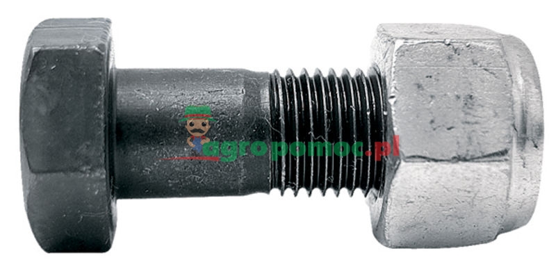 Śruba z nakrętką | zdjęcie nr 1