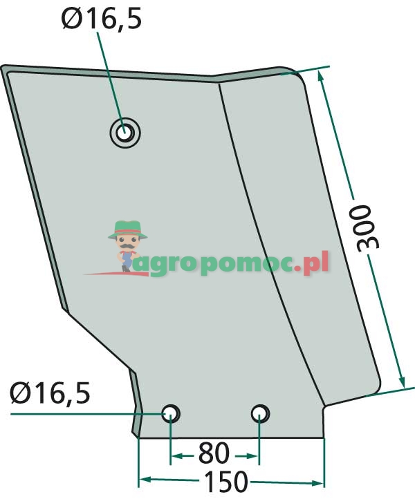 Stalnica | zdjęcie nr 2