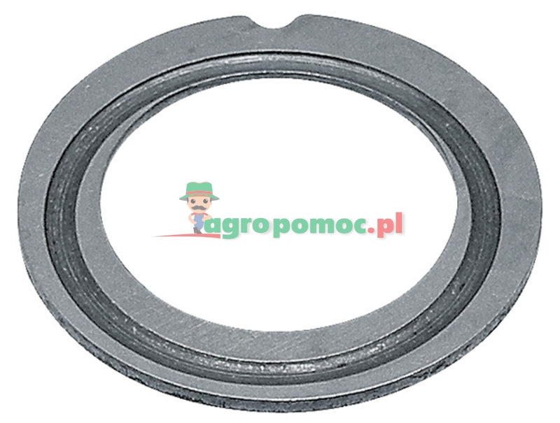 Tarcza pośrednia | zdjęcie nr 1