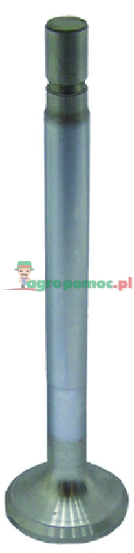 Zawór wydechowy | zdjęcie nr 1