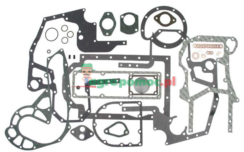Zestaw uszczelek | zdjęcie nr 1