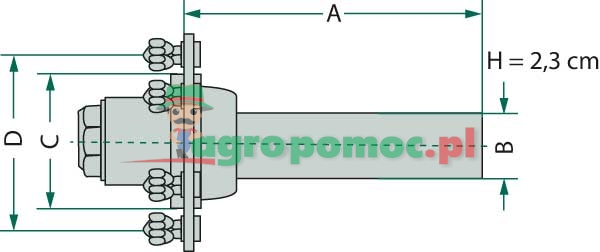 A.D.R Piasta osi | zdjęcie nr 2