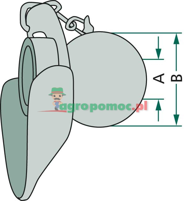 Kula z kołnierzem | zdjęcie nr 2