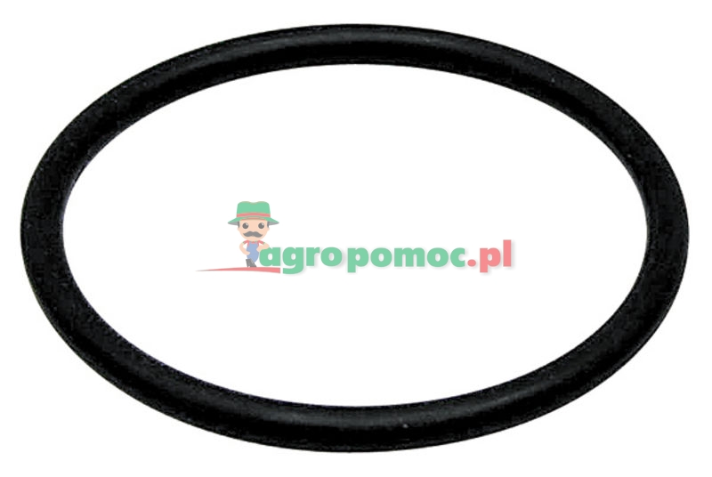 Oring | zdjęcie nr 1
