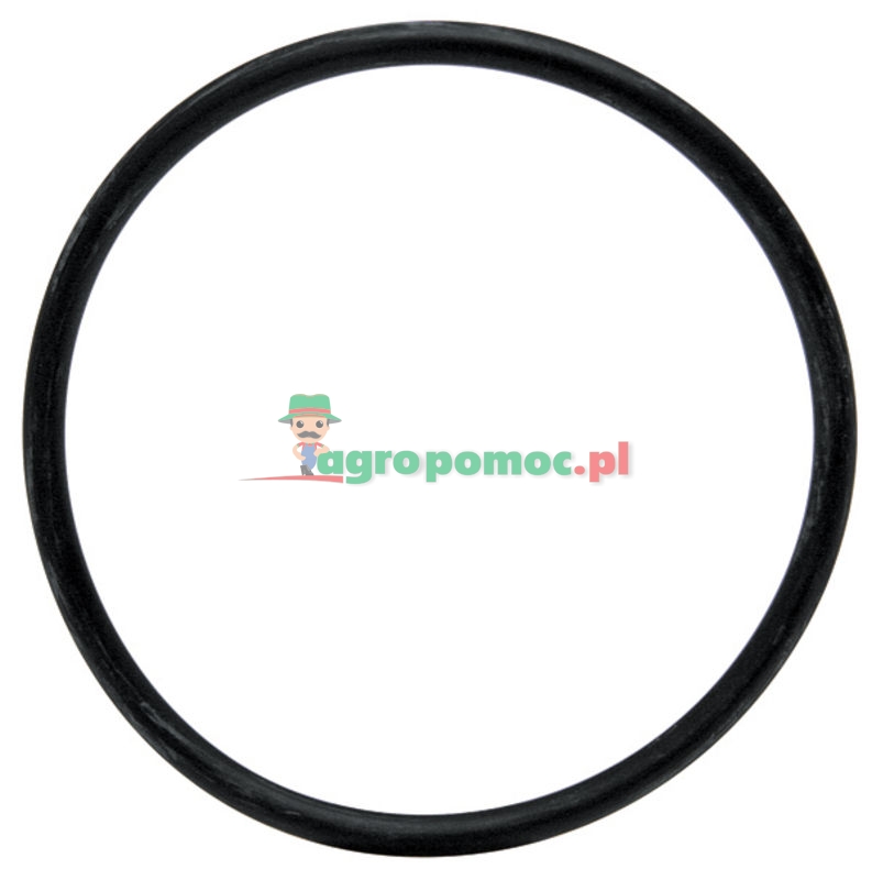 Oring | zdjęcie nr 1