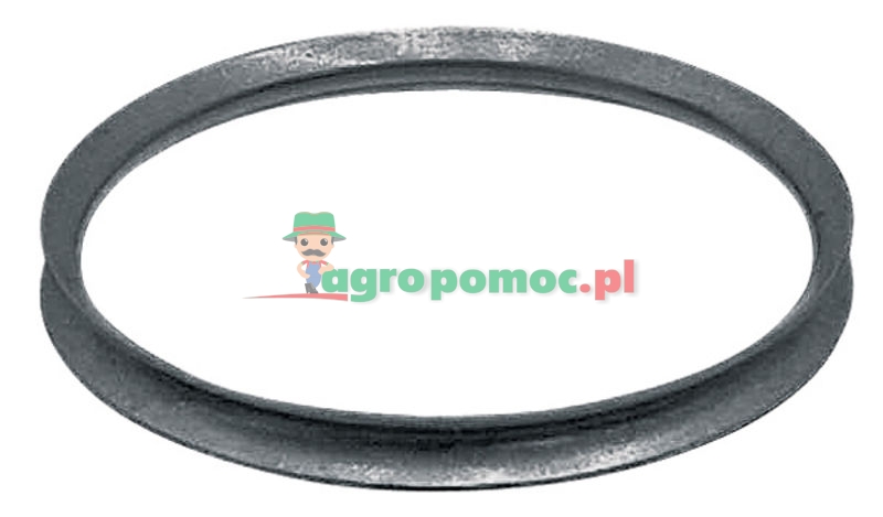 Pierścień dociskowy | zdjęcie nr 1