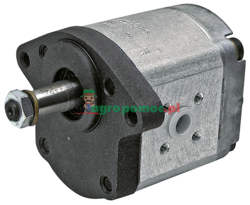 Pompa zębata, pojedyncza | 1-32-275-001 | zdjęcie nr 1