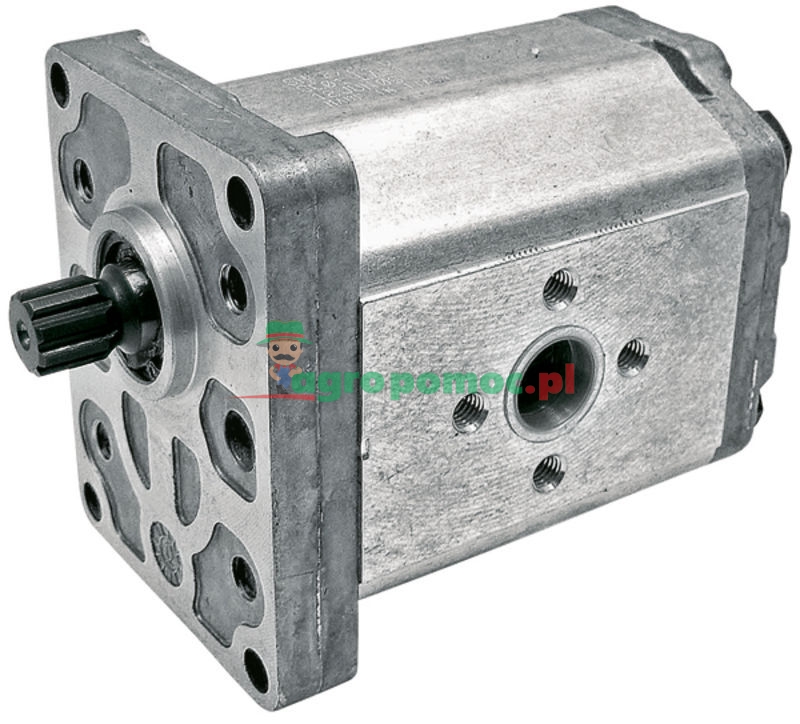 Pompa zębata, pojedyncza | 114910A1, 301022A1 | zdjęcie nr 1