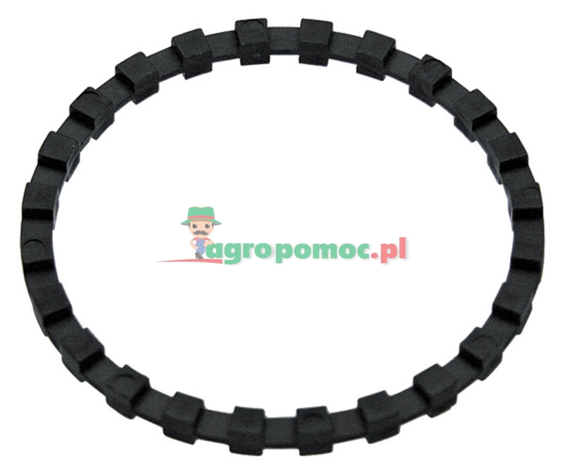 Rau Pierścień zębaty | 00039753 | zdjęcie nr 1