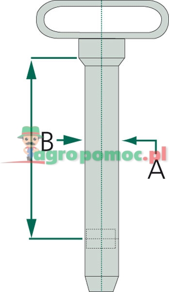 Sworzeń | zdjęcie nr 2