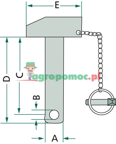 Sworzeń | zdjęcie nr 2