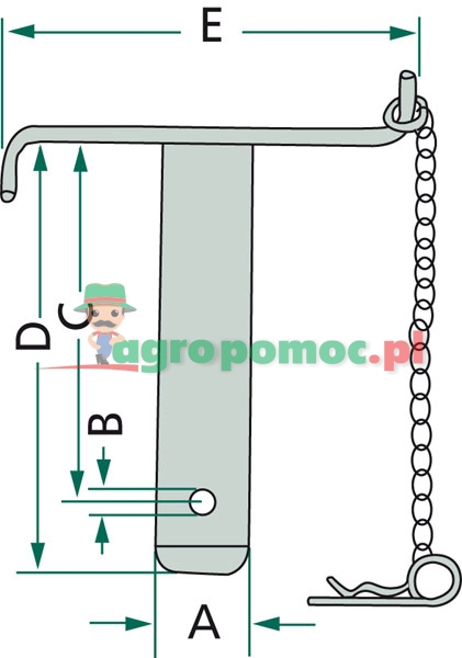 Sworzeń | zdjęcie nr 2