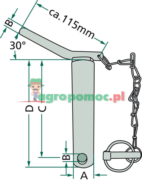 Sworzeń | zdjęcie nr 2