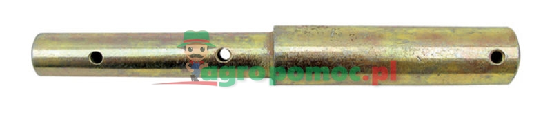 Sworzeń | zdjęcie nr 1