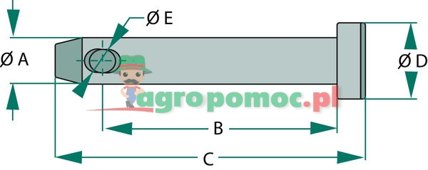 Sworzeń | zdjęcie nr 2