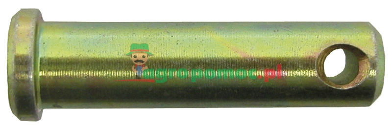 Sworzeń | zdjęcie nr 1