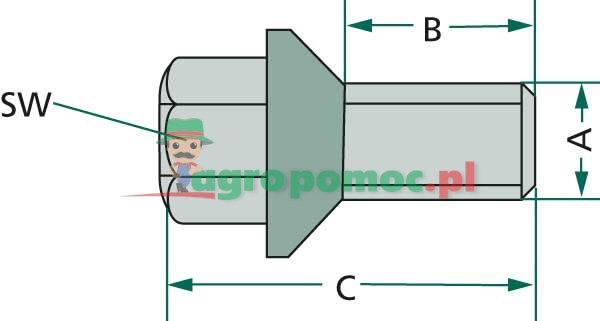 Szpilka koła | zdjęcie nr 2