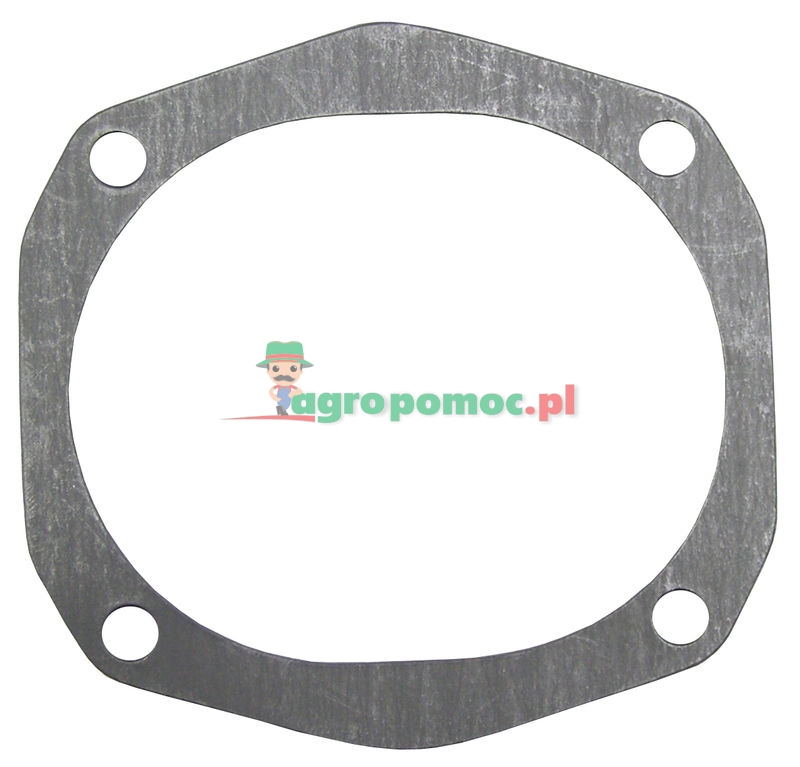 Uszczelka | F281200210010 | zdjęcie nr 1