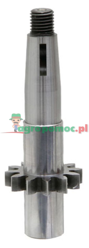 X-PLP-20-82-25 | zdjęcie nr 1