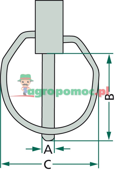 Zestaw zawleczek zatrzaskowych | zdjęcie nr 2