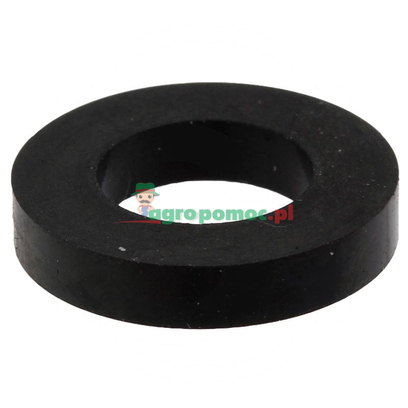 Hypro Dichtung | zdjęcie nr 1