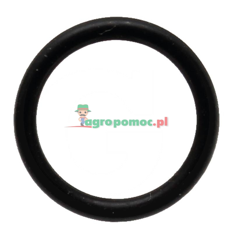 Lechler O-Ring | zdjęcie nr 1