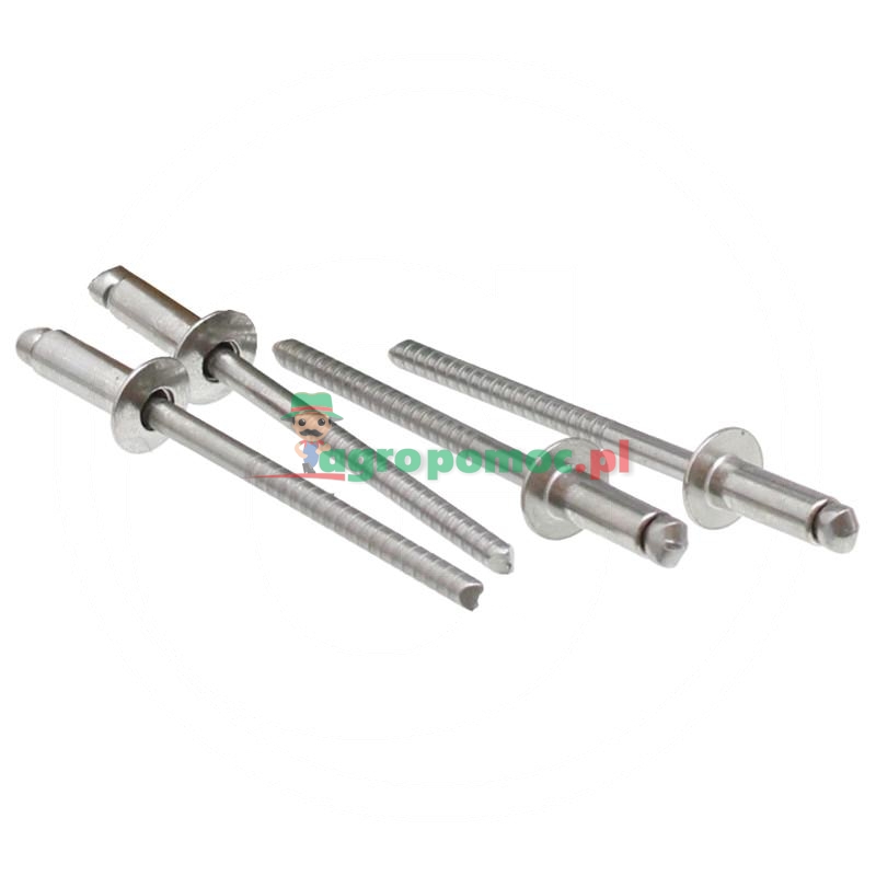 Opak. 250 Nity zrywalne z łbem płaskim 6,4x12 | zdjęcie nr 1