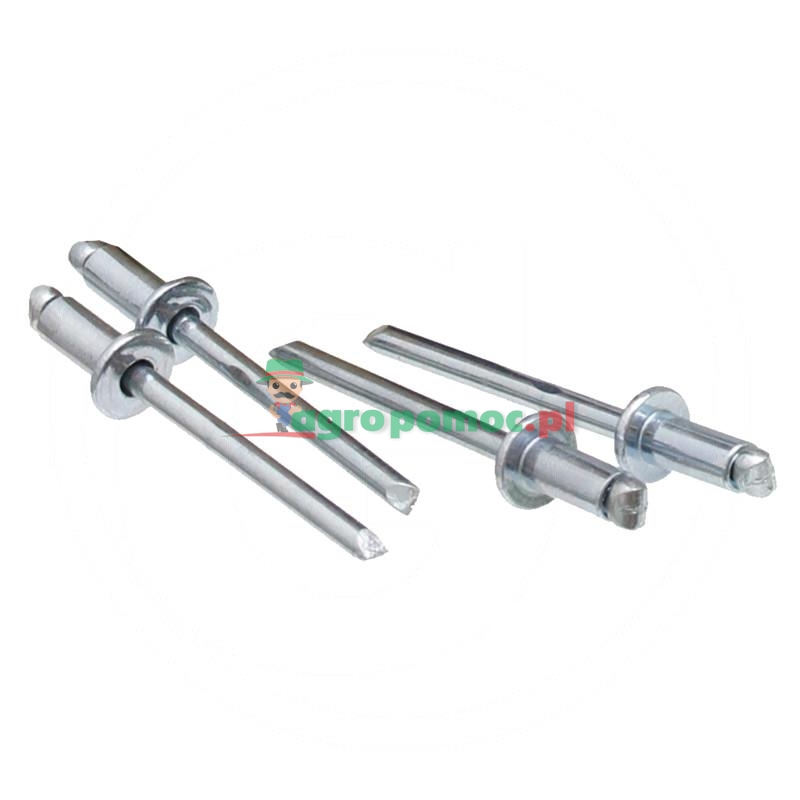 Opak. 250 Nity zrywalne z łbem płaskim 6x12 | zdjęcie nr 1