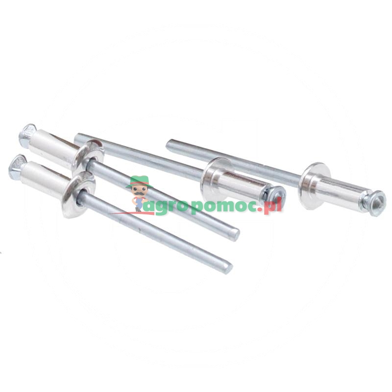 Opak. 500 Nity rozprężne z łbem płaskim 4x10 | zdjęcie nr 1