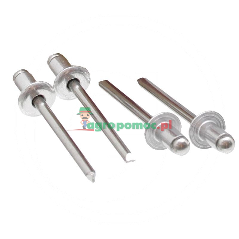 Opak. 500 Nity zrywalne z łbem płaskim 4,8x10 | zdjęcie nr 1