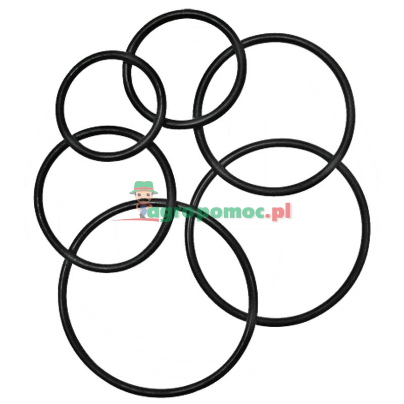 Oring Viton | zdjęcie nr 1