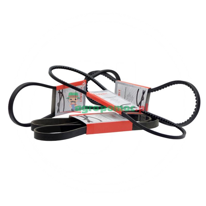 Pas klinowy rowkowany | zdjęcie nr 1