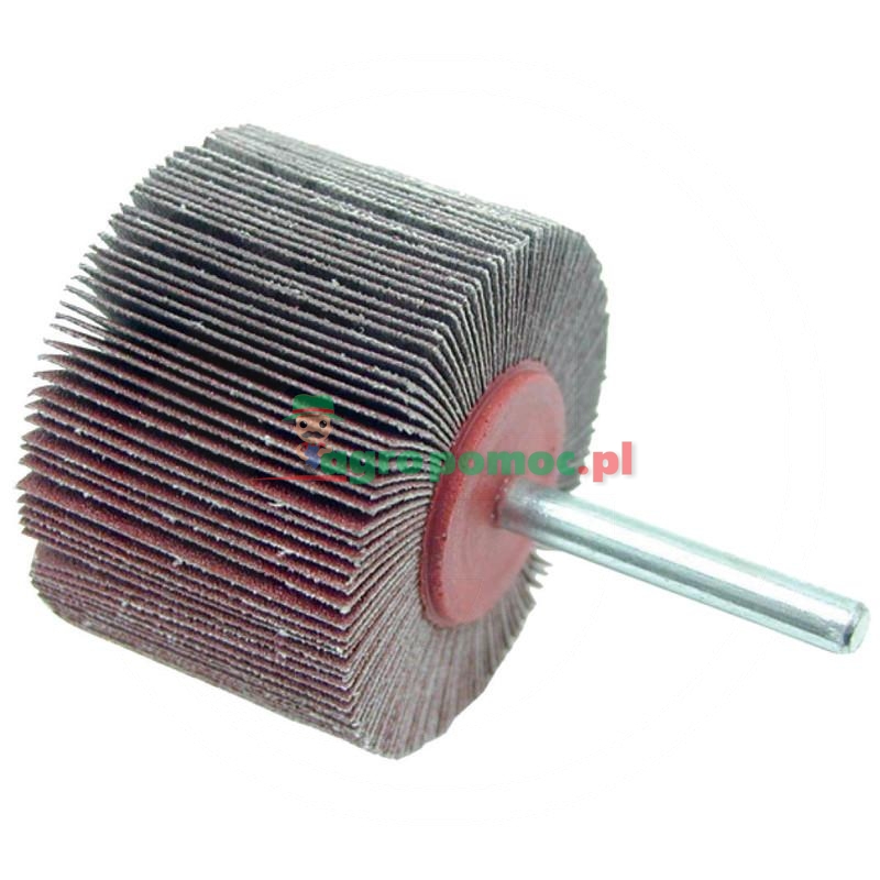 Ściernica wachlarzowa | zdjęcie nr 1