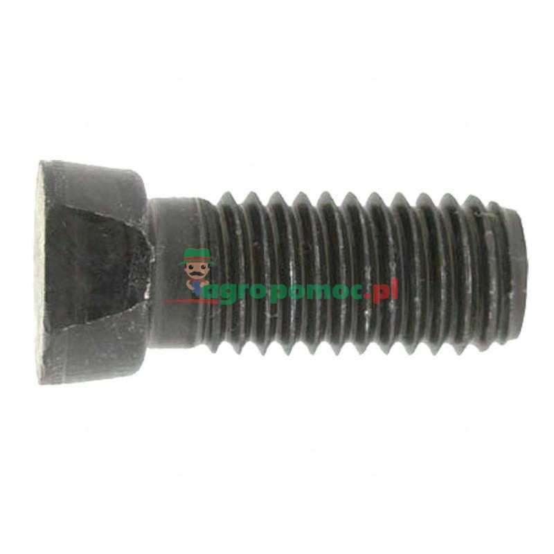 Śruba płużna | zdjęcie nr 1