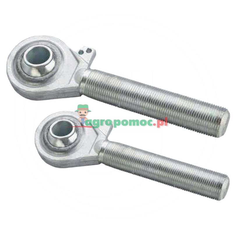 Trzpień | zdjęcie nr 1