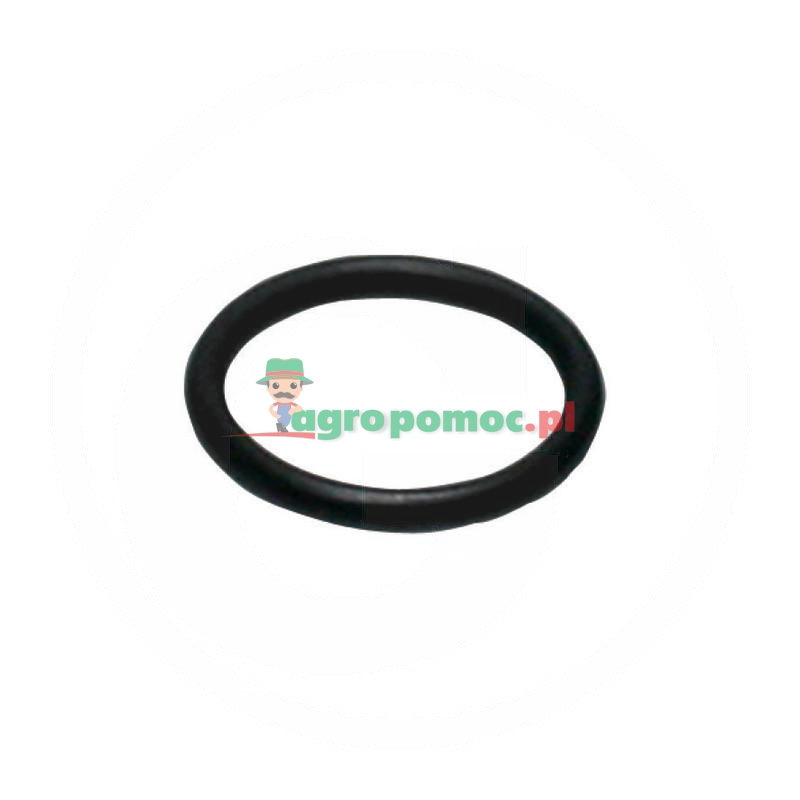 Voss Oring | zdjęcie nr 1