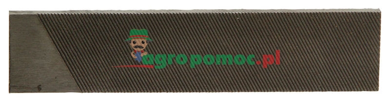 Gartenland Pilnik płaski | zdjęcie nr 1