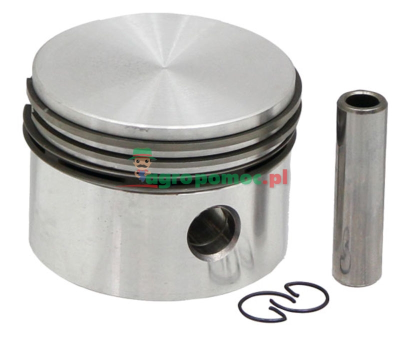 Gartenland Tłok | 391287, 49995, | zdjęcie nr 1