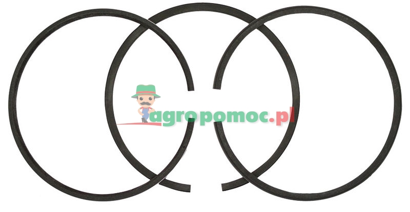 Gartenland Zestaw pierścieni tłokowych | 690016, 690019, 393883, 391671, 299571 | zdjęcie nr 1