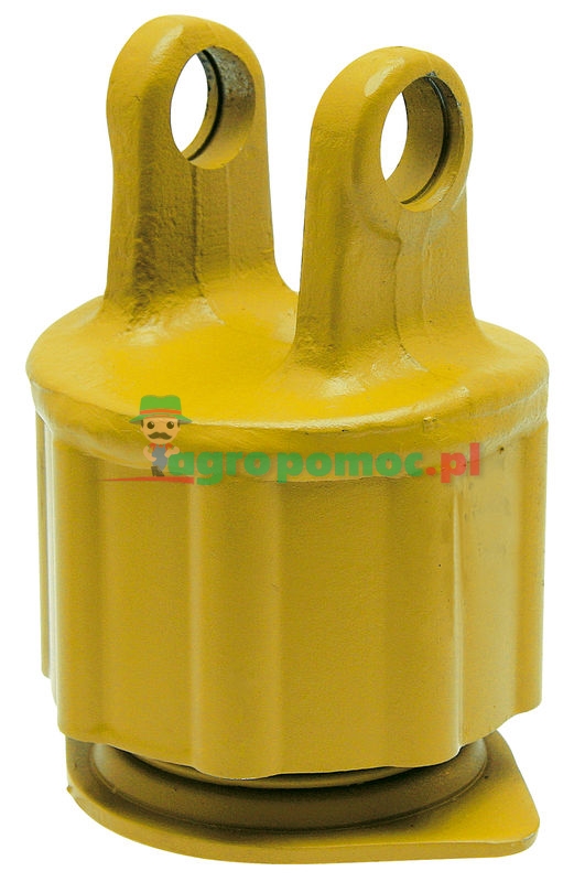 Grzechotka gwiaździsta | zdjęcie nr 1