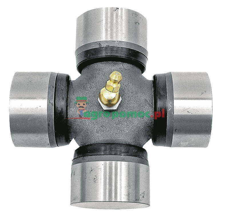 Krzyżak | zdjęcie nr 1