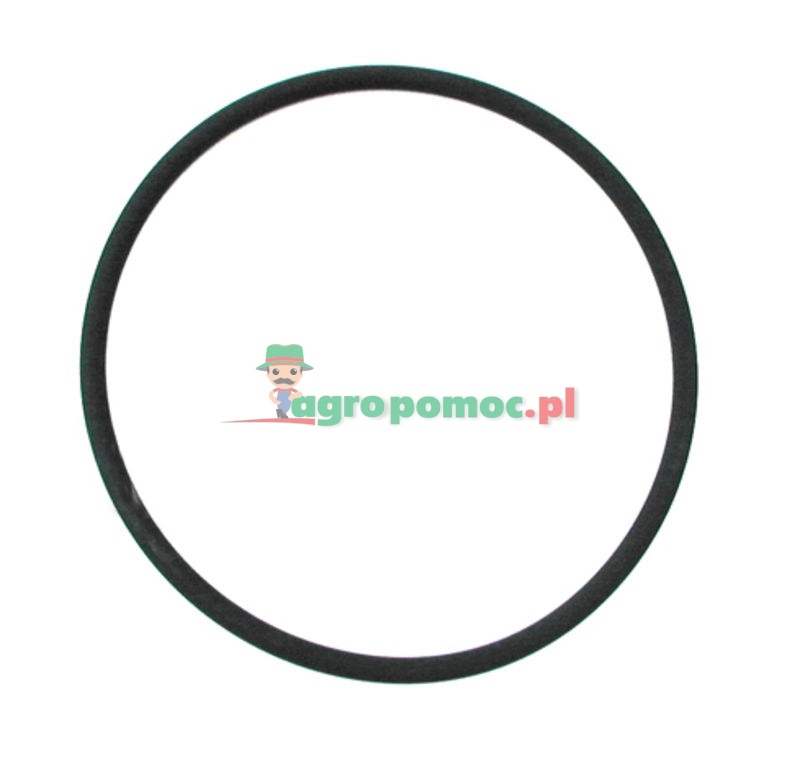 Oring | 3228344R1 | zdjęcie nr 1