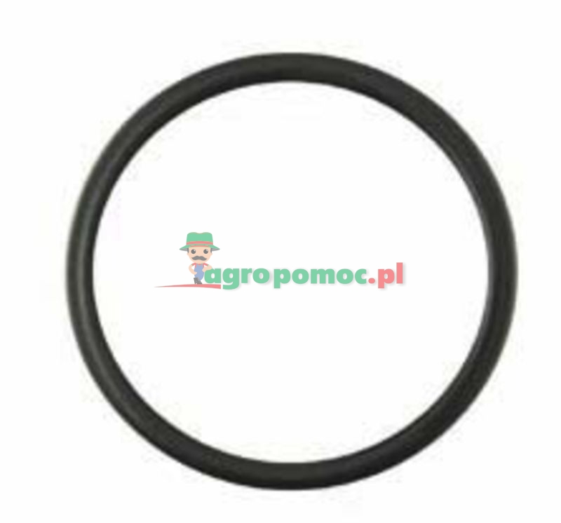 Oring | F100001174605 | zdjęcie nr 1