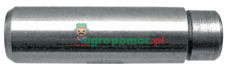 Prowadnica zaworu | 375827A1 | zdjęcie nr 1