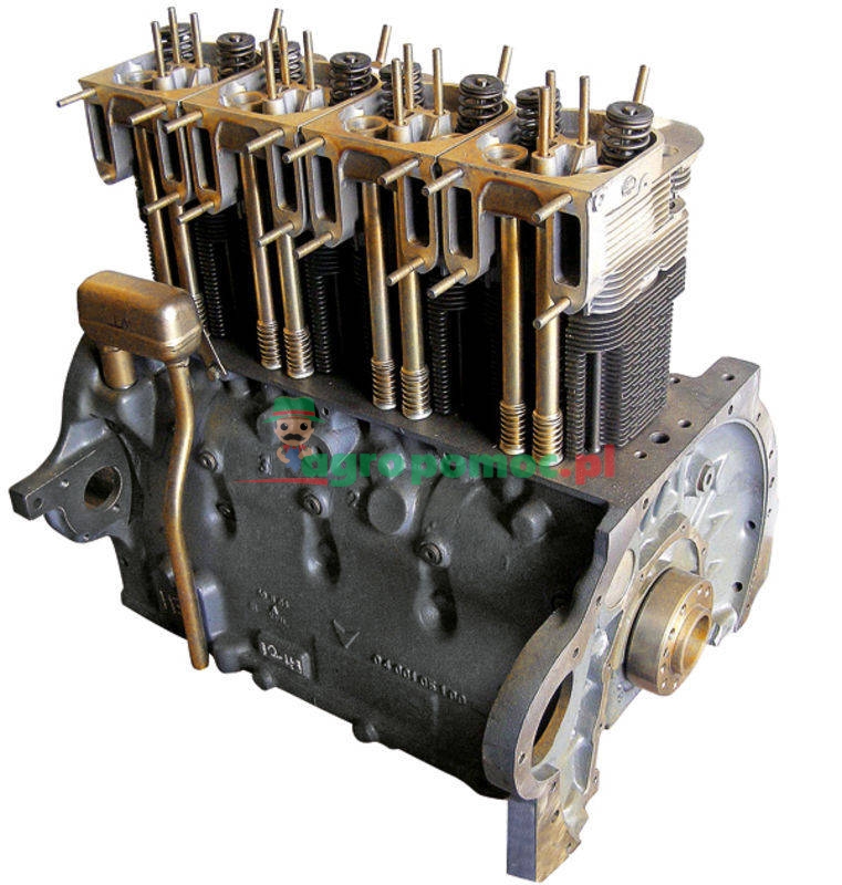 Silnik kpl. | zdjęcie nr 1
