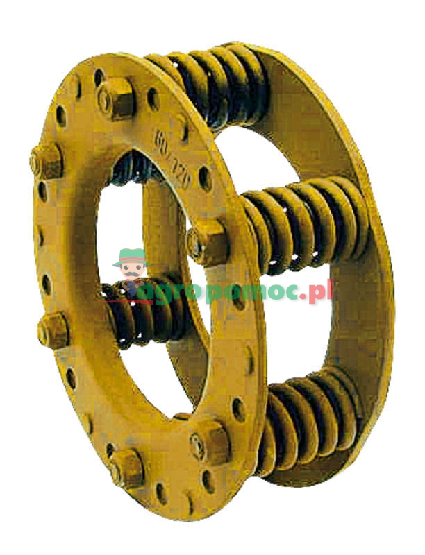 Walterscheid Pakiet sprężyn | 171283 | zdjęcie nr 1