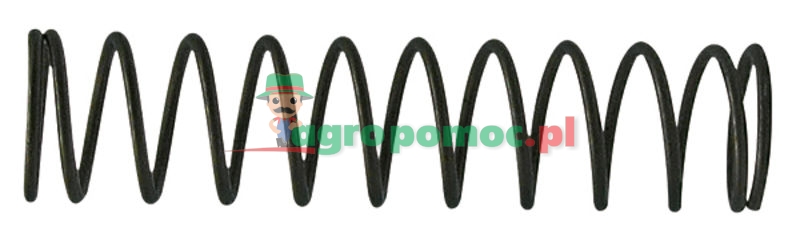 Walterscheid Sprężyna dociskowa | 099050 | zdjęcie nr 1