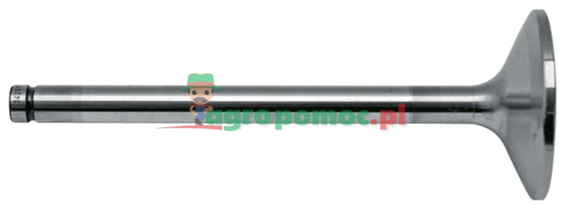 Zawór ssący | F824200410140 | zdjęcie nr 1